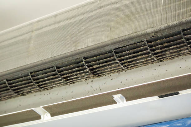 Best Duct Cleaning for Homes  in Nephi, UT